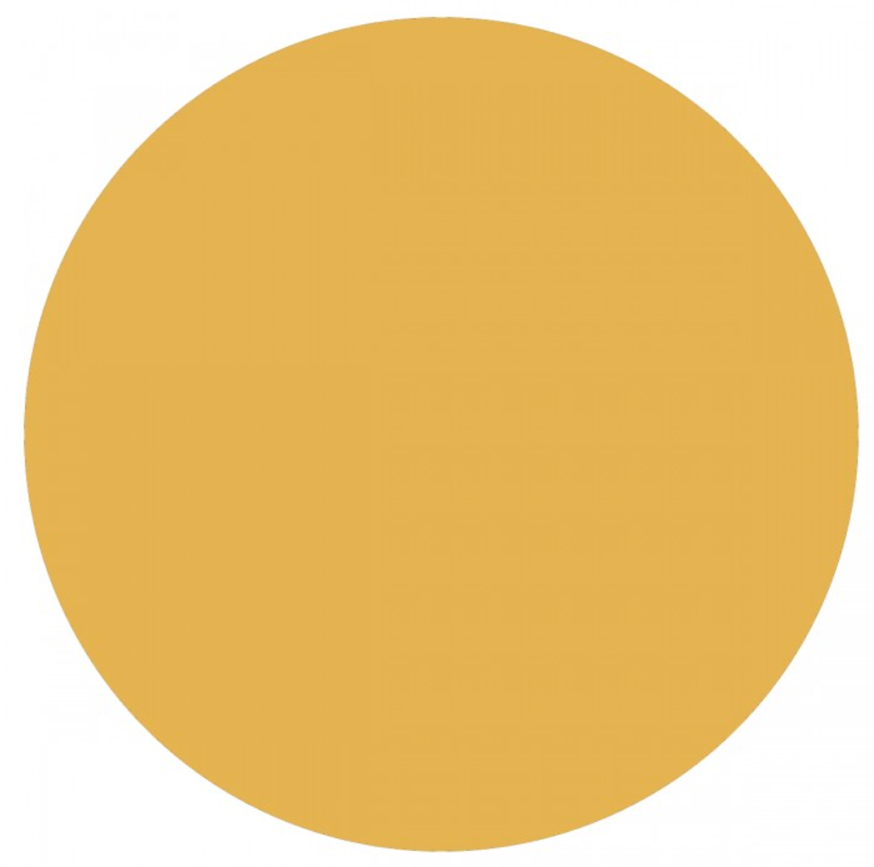 Doc Holliday Colors Acrylic Self-Sealing Craft Paint for Ceramics (2 fl oz) (DH10 - Mustard)