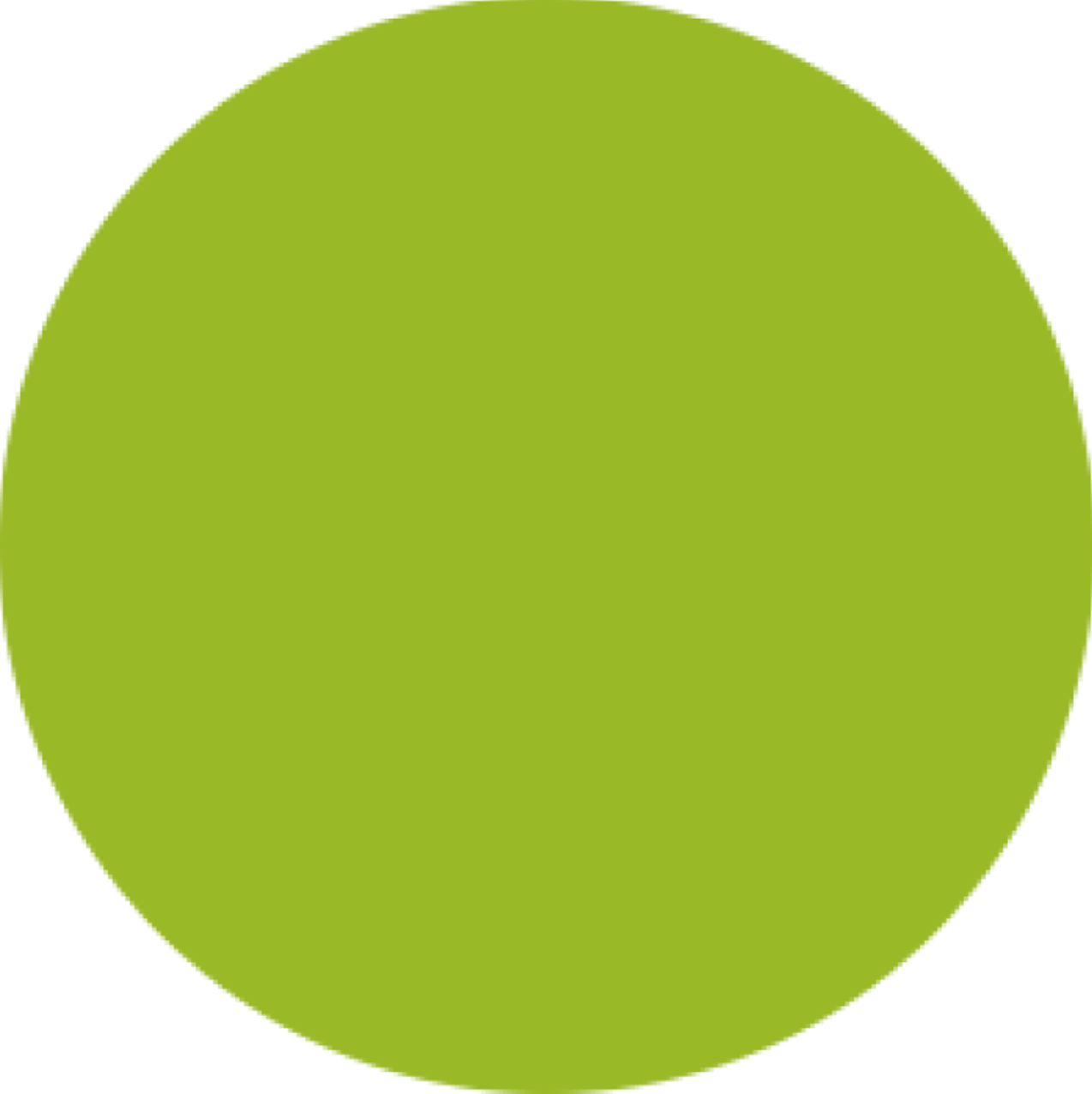 Doc Holliday Colors Acrylic Self-Sealing Craft Paint for Ceramics (2 fl oz) (DH169 - Electric Lime)