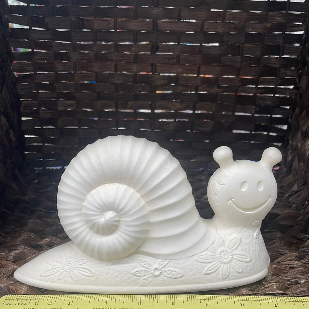 Groovy Snail