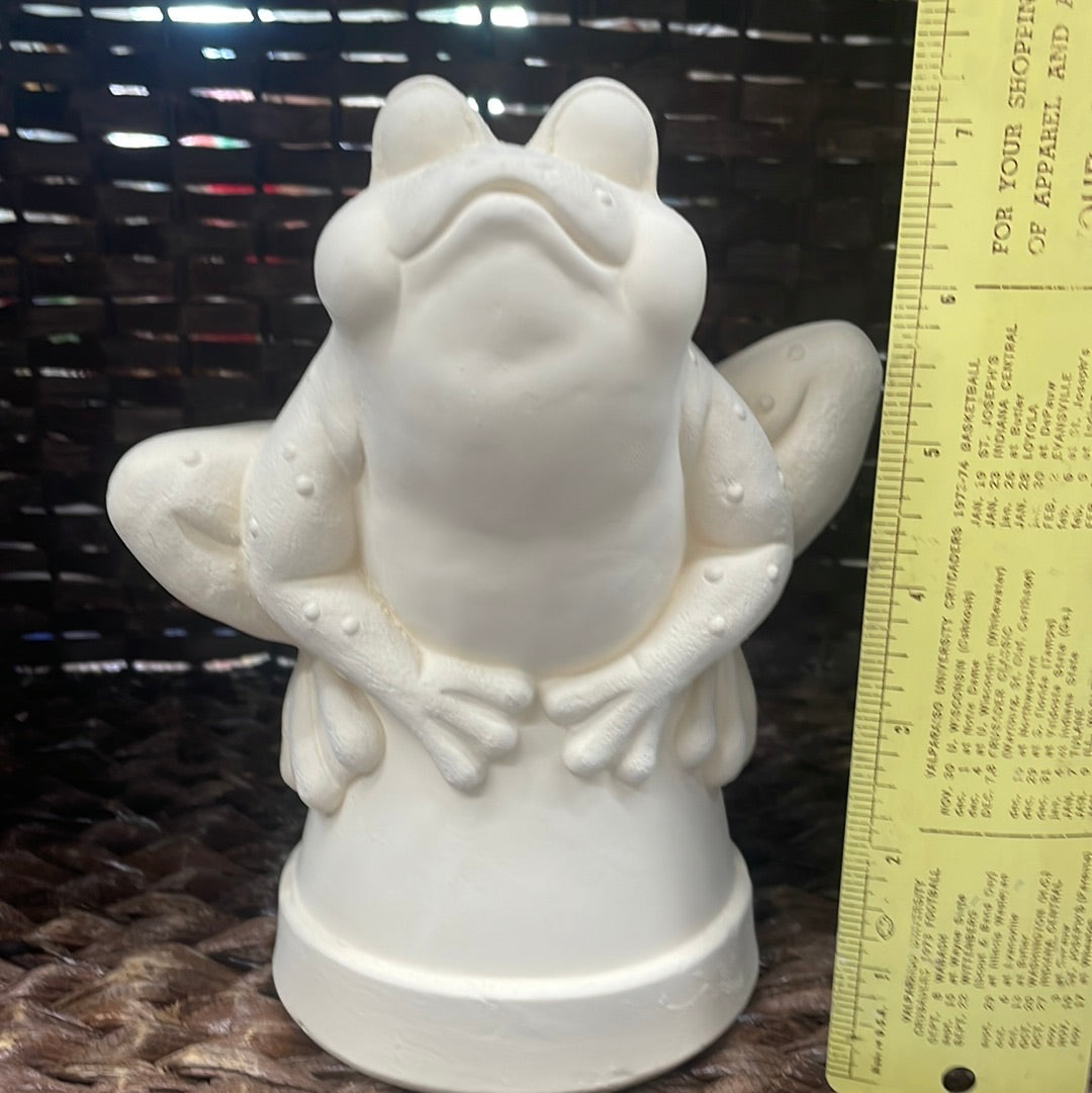 Frog on a Pot