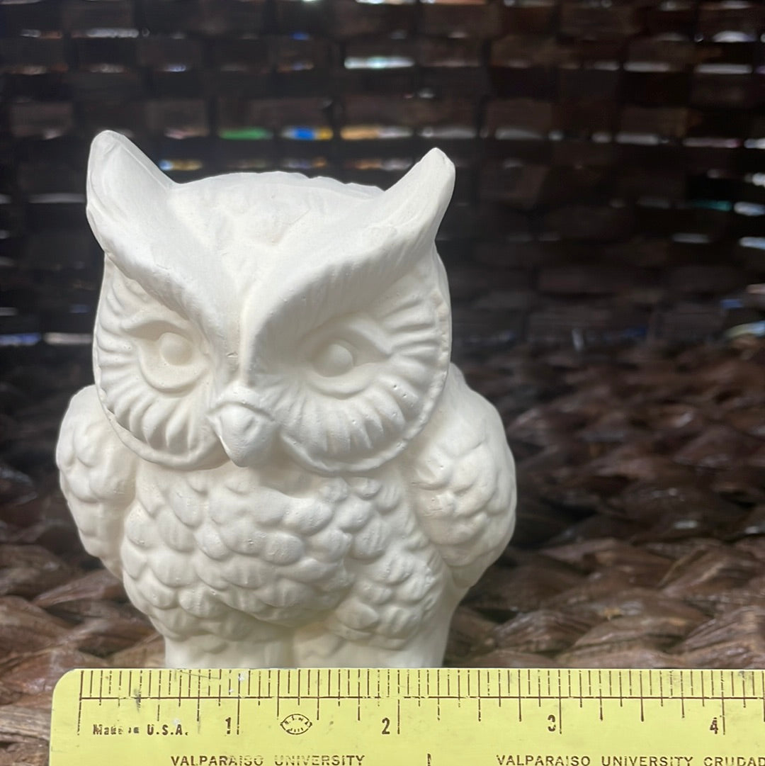 Small Owl