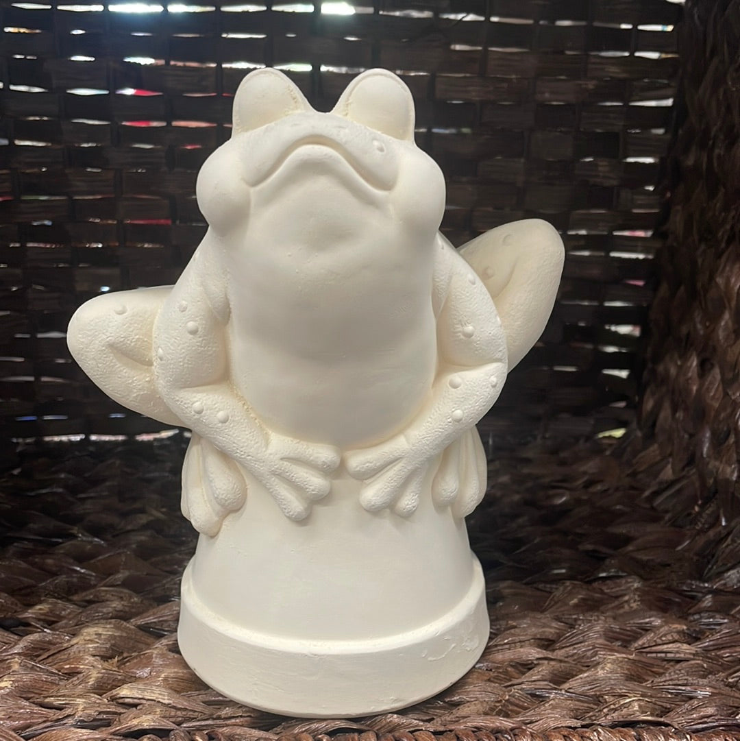 Frog on a Pot