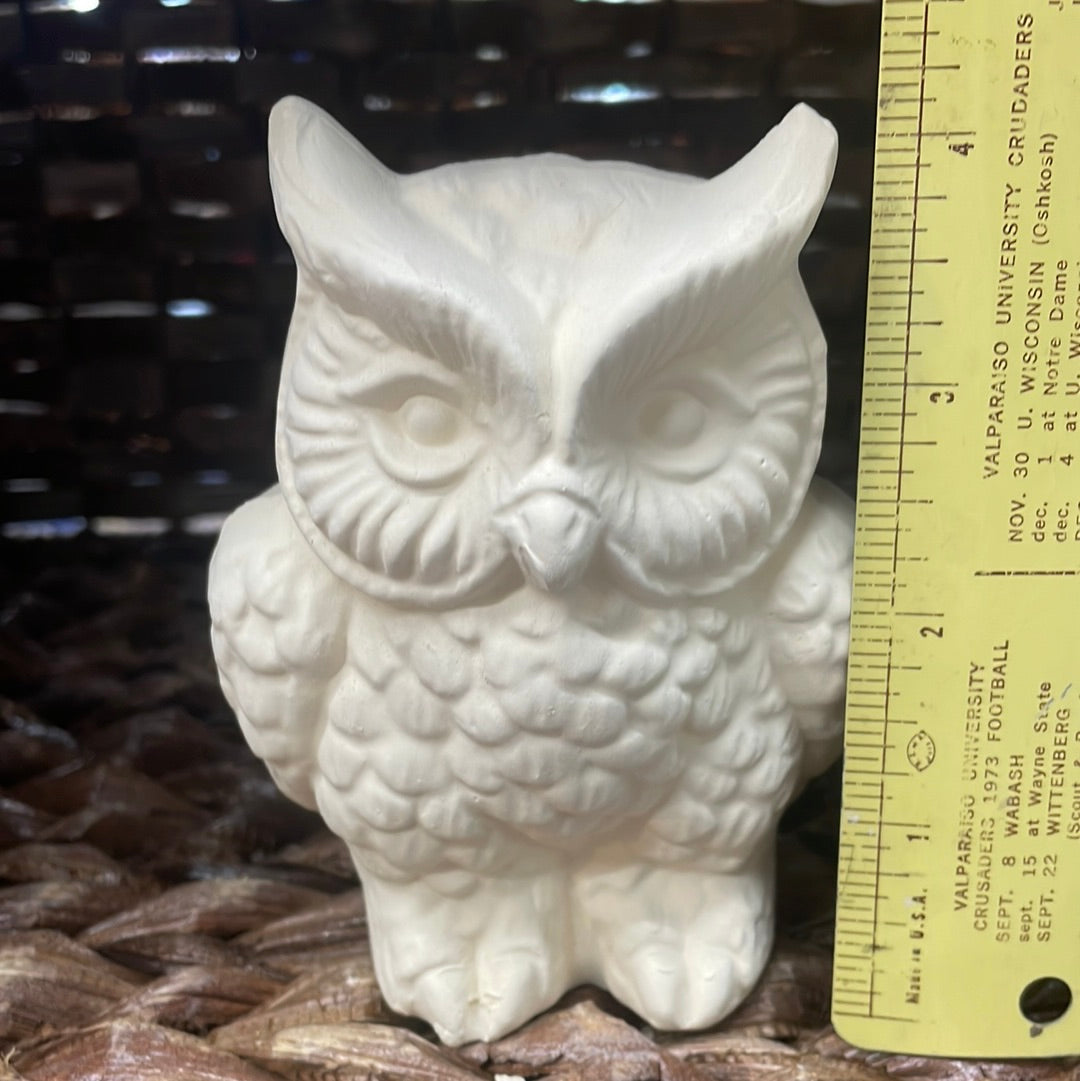 Small Owl